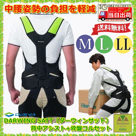 【楽天市場】【平日15時まで即日発送】darwing Sattダーウィンサット背中アシスト骨盤コルセット 【介護 サポーター 保護具 腰