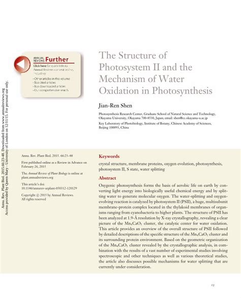 PDF The Structure Of Photosystem II And The Mechanism Of Water