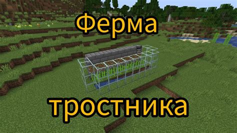 ФЕРМА ТРОСТНИКА в minecraft | Полная инструкция! #minecraft #майнкрафт ...