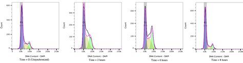 Dna Content And Ploidy Analysis