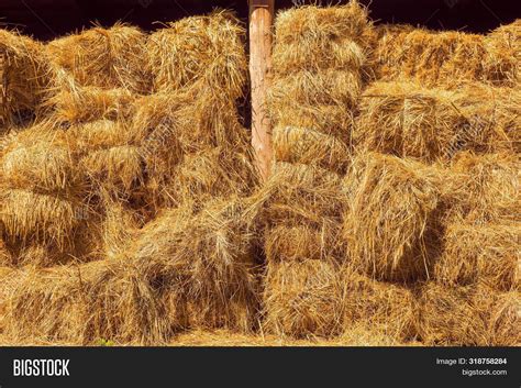 Dry Baled Hay Bales Image & Photo (Free Trial) | Bigstock