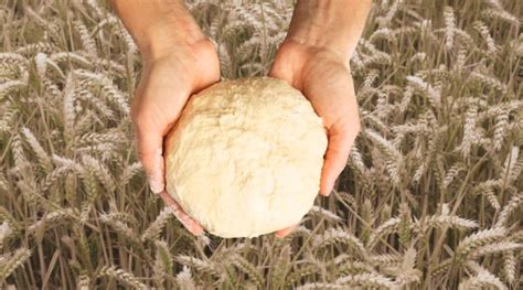 Harvesting The Grain A Bread Baking Ritual For Lammas Katie Gerrard