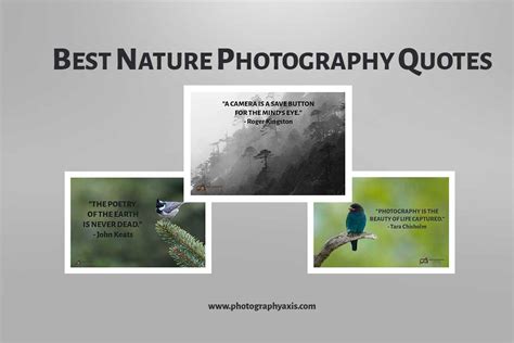 101 Best Nature Photography Quotes & Captions to Inspire You ...