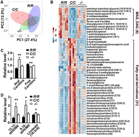 Plasma Metabolomic Profiling Reveals Altered Lipid Metabolism In P