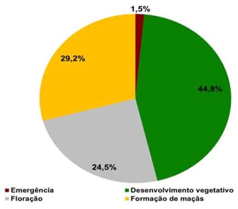 Preço Do Algodão Para 2021 Veja Quais Fatores Impactam