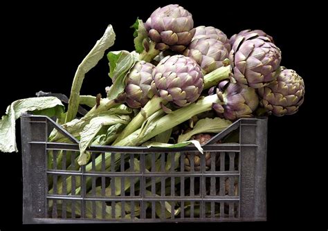 Artichoke Makanan Sayuran Foto Gratis Di Pixabay Pixabay