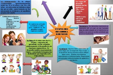 Mapa Mental El Desarrollo Humano Desde Nacimiento A La Adolescencia