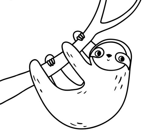 Sloth In A Tree Coloring Page Free And Printable