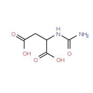 N Carbamoyl DL Aspartic Acid CAS 923 37 5 SCBT Santa Cruz