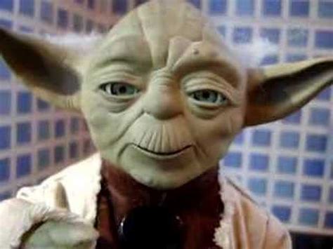 Yoda Smoking A Joint Talking Jedi Stuff Youtube