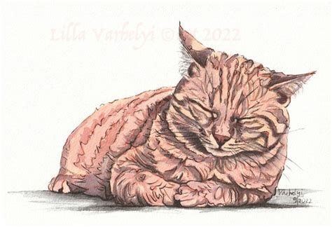 Freitagskatze Garfield Katze Tierportrait Tuschmalerei