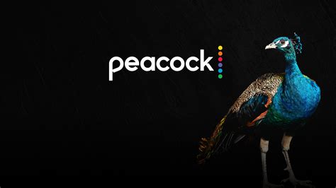 Watch Unsolved Mysteries Now | Peacock