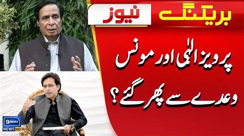 Breaking News Shocking Statement By Shafay Hussain Suno News HD