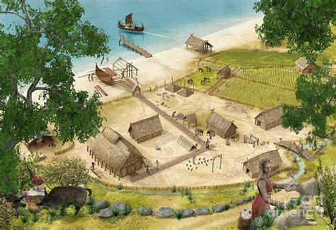 Viking Village In Summer Photograph By Claus Lunau Science Photo