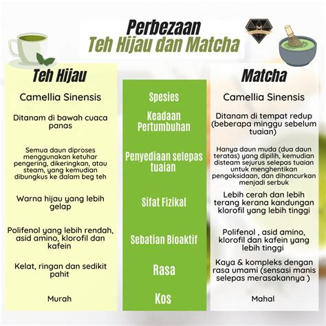 Perbezaan Teh Hijau dan Matcha Yang Mungkin Ramai Belum Tahu