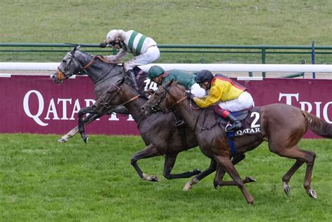 Alpinista Triumphs As Titleholder Fades To Th In Prix De L Arc De