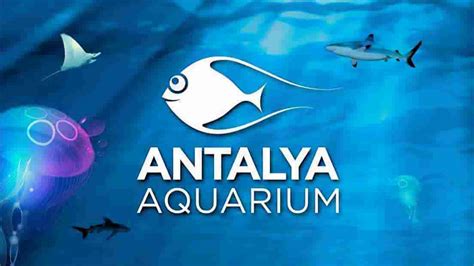 Aquarium Tickets And Private Car Transportation