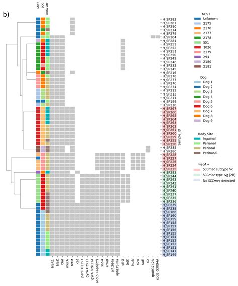 Antibiotics Free Full Text Concordance Between Antimicrobial Resistance Phenotype And