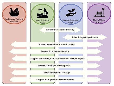 Soil biodiversity and a sustainable future — Global Soil Biodiversity Initiative