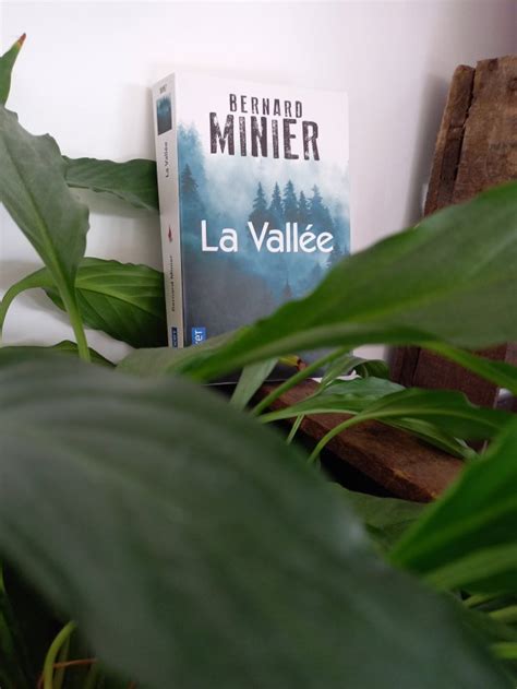 La vallée de Bernard MINIER – Au fil des mots