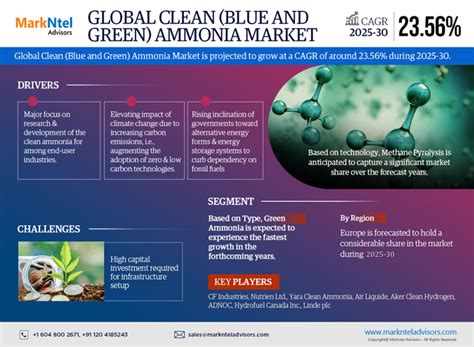 Global Clean Ammonia Blue And Green Market Research Report