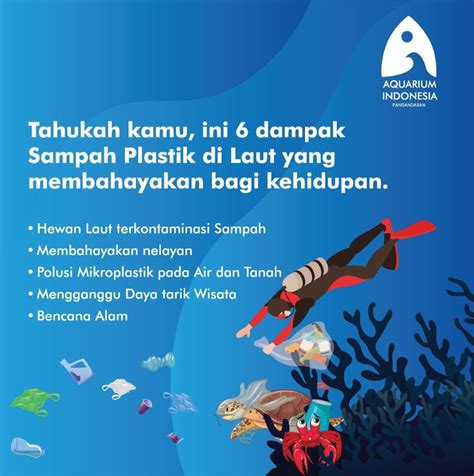 Tahukah kamu, ini 6 dampak Sampah Plastik di Laut yang membahayakan ...