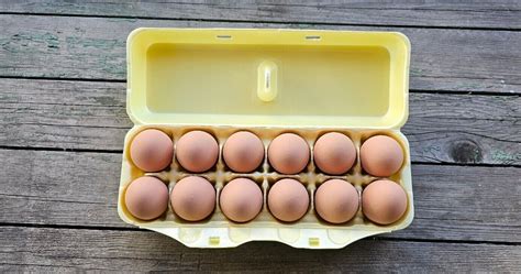 Styrofoam Egg Cartons 50 Pack Yellow Cheepcartons