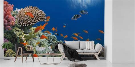 Papel Pintado De Peces Y Murales De Peces Tropicales Wallsauce ES