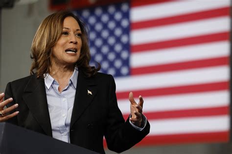 Democrats Issue Warnings to Kamala Harris Before Donald Trump Debate ...