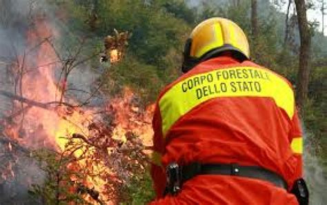 Incendi Boschivi Maggiori Controlli Con La Convenzione Tra Regione E