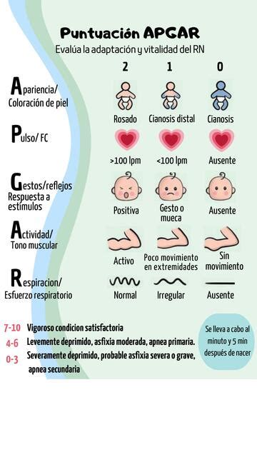 Test De Apgar Esme Rodr Guez Udocz