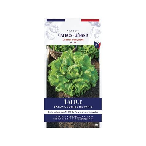 Graines De Laitue Batavia Blonde De Paris De Les Doigts Verts Gra