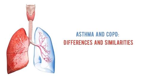 Asthma And Copd Differences And Similarities Wv Asthma Efficient