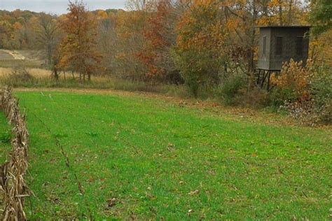 Rwws Oats Plot Topped 10 31 2012 Food Plot Seed Food Plots Deer