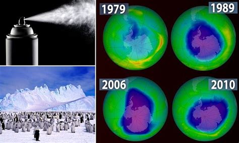 Ozone Layer On Track To Recovery Un Scientists Reveal Daily Mail