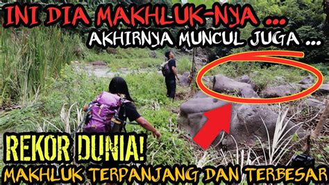 PENANGKAPAN MAKHLUK TERBESAR DAN TERPANJANG DI DUNIA SERANGGA HEWAN