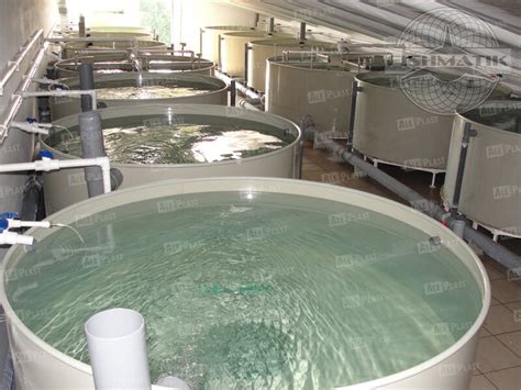 Пластиковая емкость 15000 литров (15000 л) - купить в AlePlast, цена