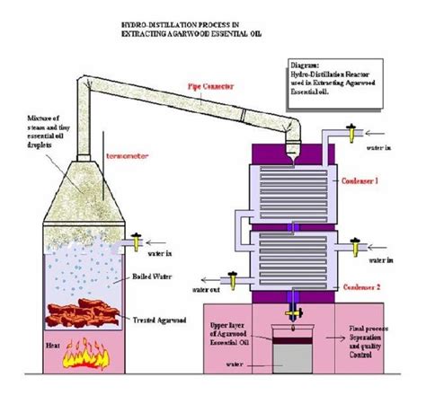 Essential oil extraction method | Essential oil distillation equipment