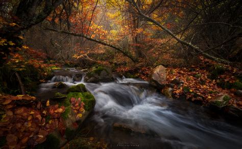 Autumn! - Landscape and Nature Photography on Fstoppers