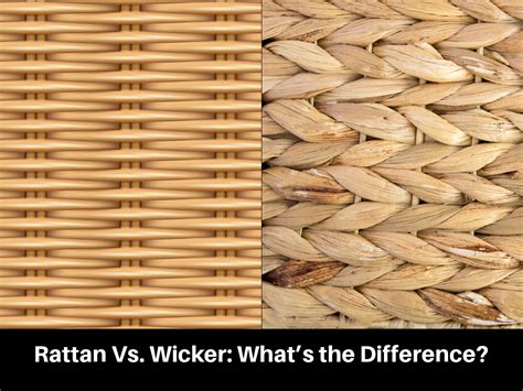 Rattan Vs Wicker Whats The Difference Home Design