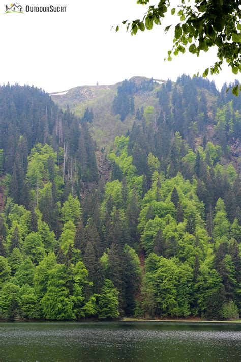 Feldbergsteig höchste Tour im Hochschwarzwald