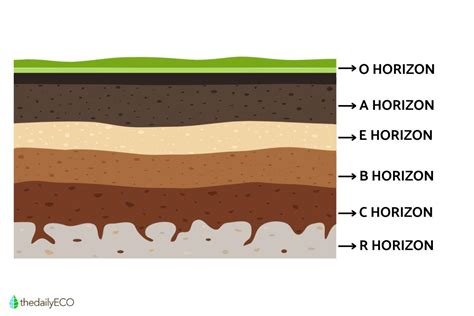 Horizon Layers of Soil - Soil Horizon Explanation With Examples