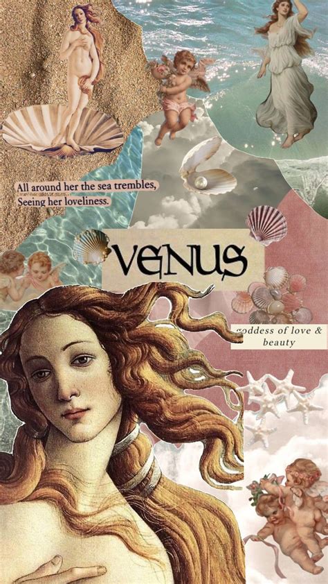 The Cover Of Venus With Images Of Mermaids And Other Sea Creatures