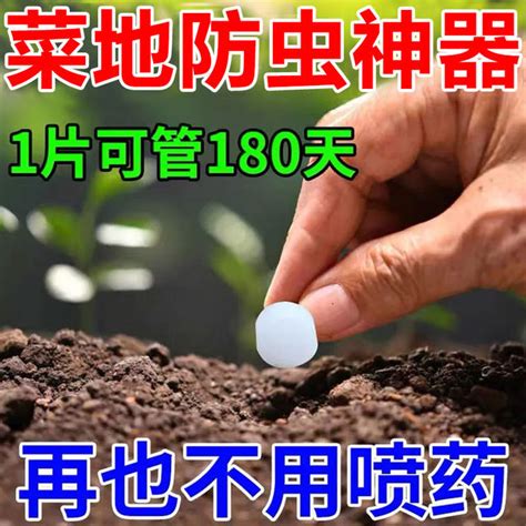 Vegetable Field Insecticide Vegetable Repellent Tablets Anti Small