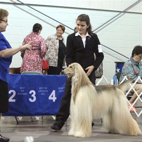 Home Atlanta Kennel Club