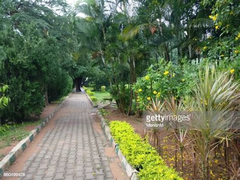 136 Whitefield Bangalore Stock Photos High Res Pictures And Images