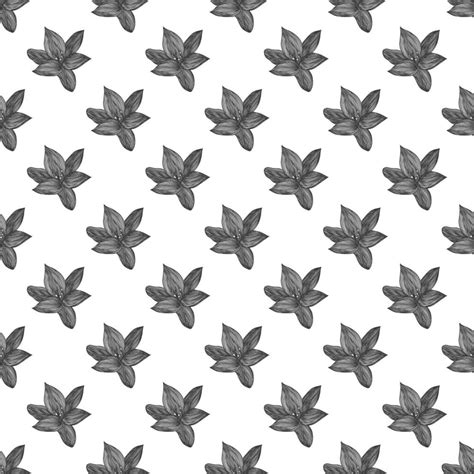 Floral Vector Background Black And White Linear Lily Flower Line