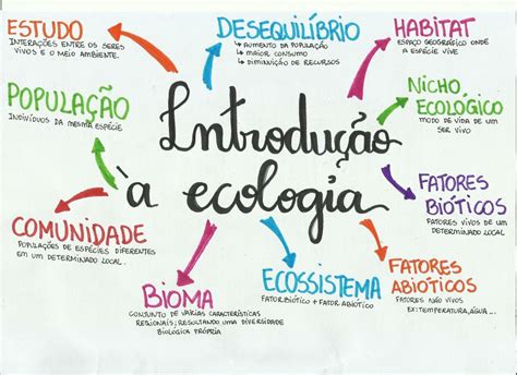 Introdução a ecologia Estudos para o enem Planos de estudo enem