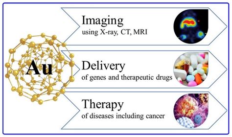 Sirna Conjugated Nanoparticles—a Next Generation Strategy To Treat Lung