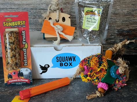 Squawk Box Subscription Box Review - August 2017 - Hello Subscription